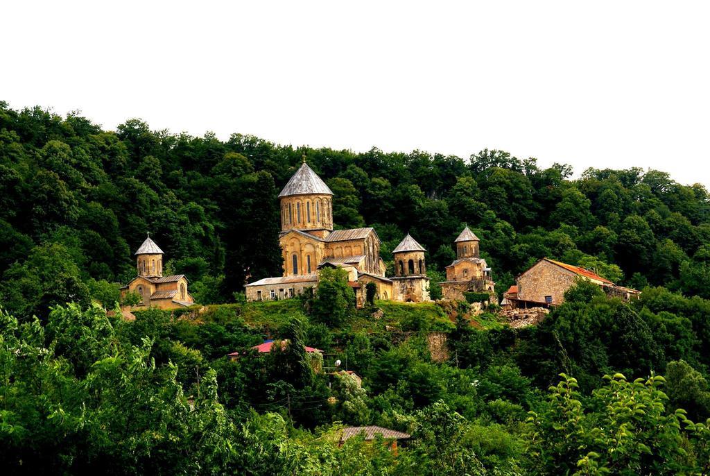 Agro Guesthouse Korena Koetaisi Buitenkant foto