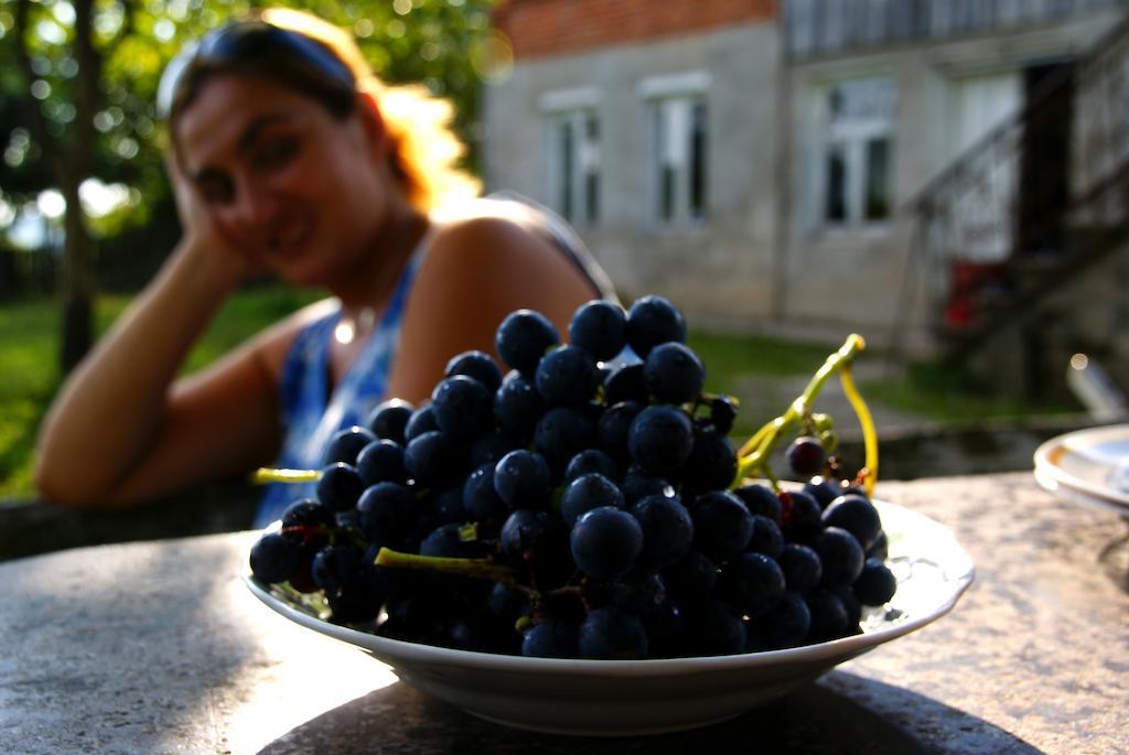 Agro Guesthouse Korena Koetaisi Buitenkant foto