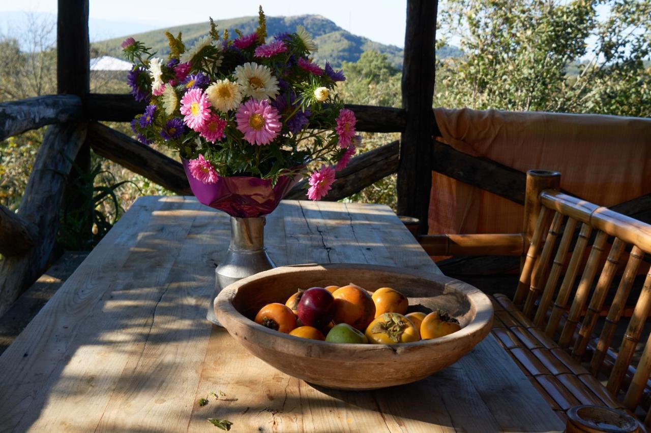 Agro Guesthouse Korena Koetaisi Buitenkant foto